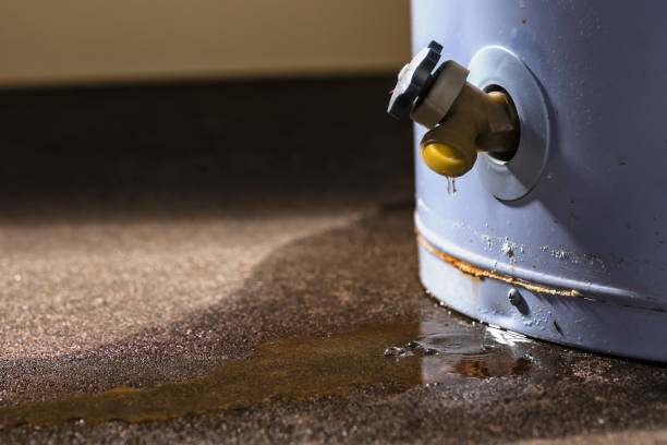 Best 24/7 water damage repair  in Sudden Valley, WA