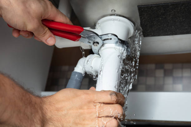 Best Mold removal after water damage  in Sudden Valley, WA