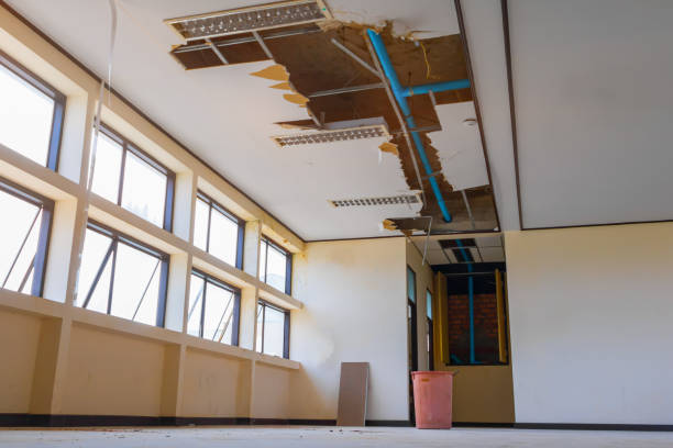 Best Basement water damage restoration  in Sudden Valley, WA