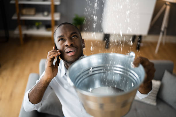 Best Water damage restoration specialists  in Sudden Valley, WA