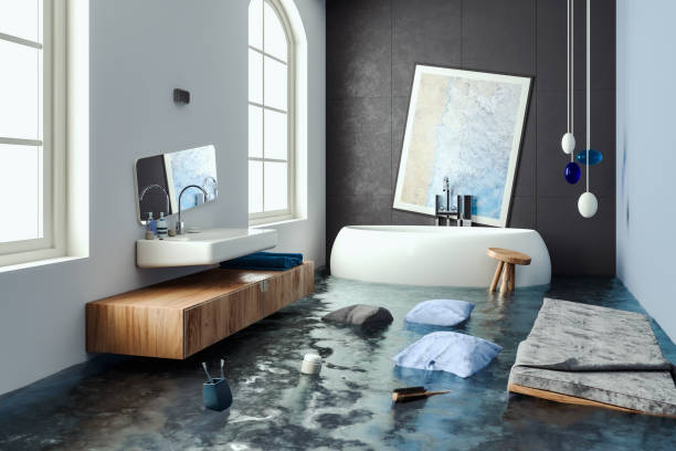  Sudden Valley, WA Water damage restoration Pros