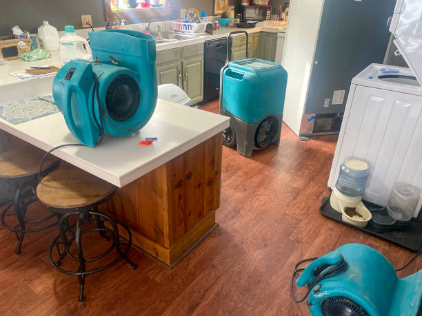 Best 24-hour water damage restoration  in Sudden Valley, WA