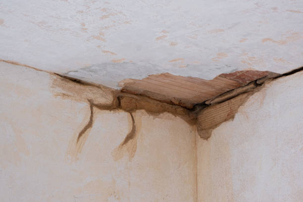 Best Flooded house restoration  in Sudden Valley, WA