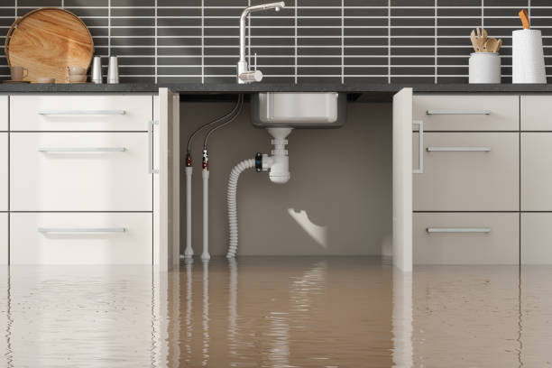 Best Professional water damage repair  in Sudden Valley, WA
